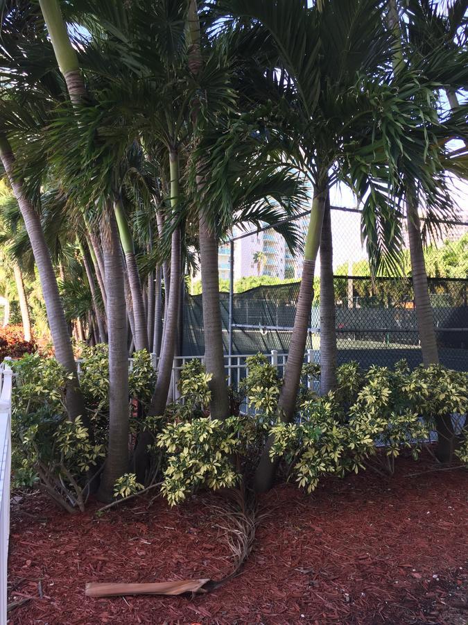 Ocean Reserve Str-01045 Miami Beach Bagian luar foto